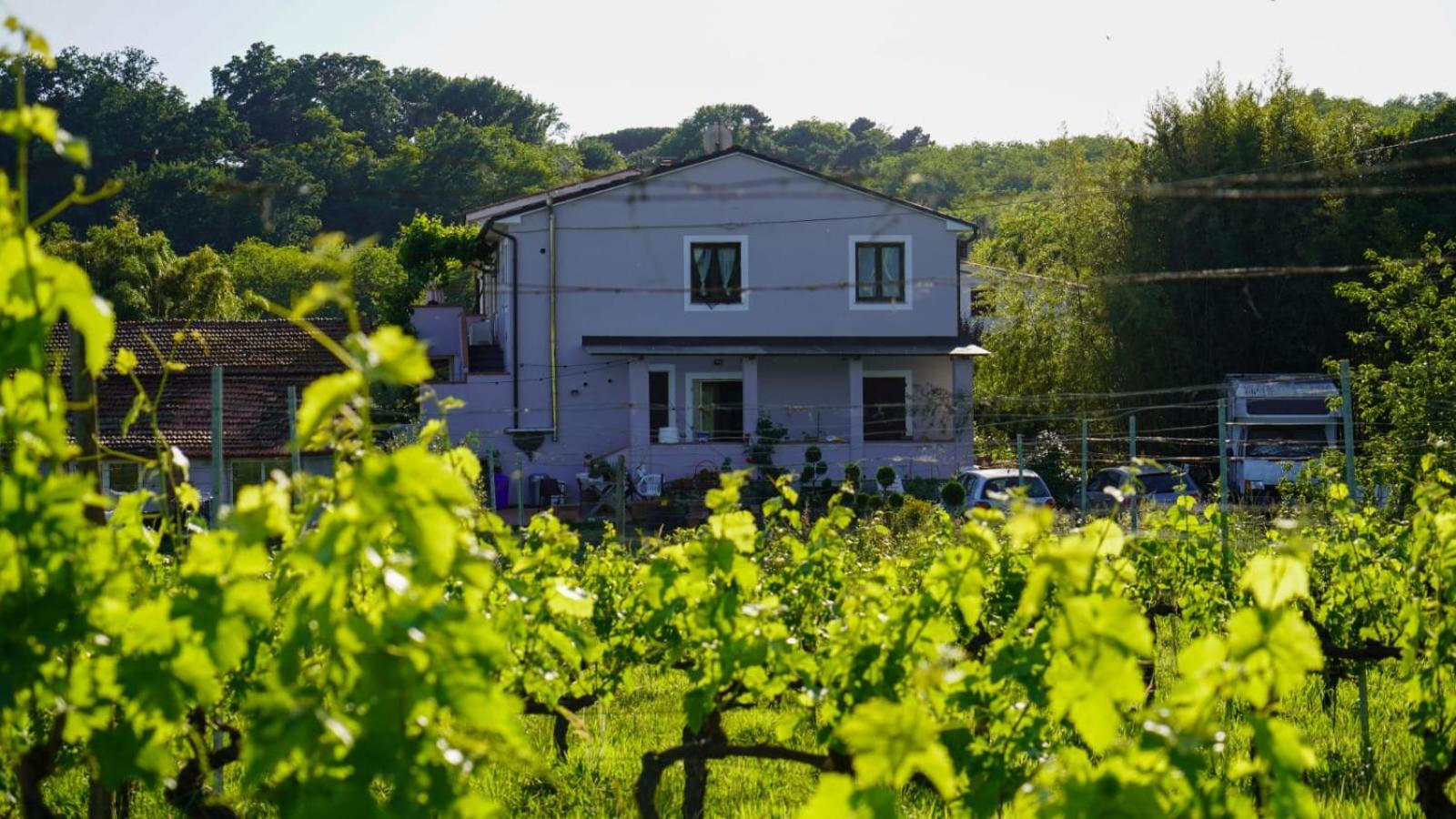 Wine House Panzió Capannori Kültér fotó