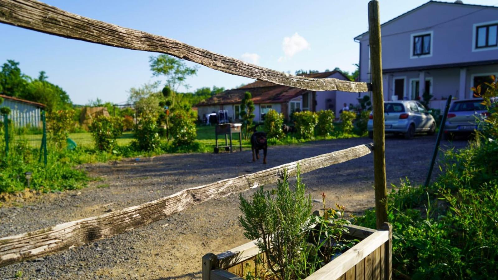 Wine House Panzió Capannori Kültér fotó
