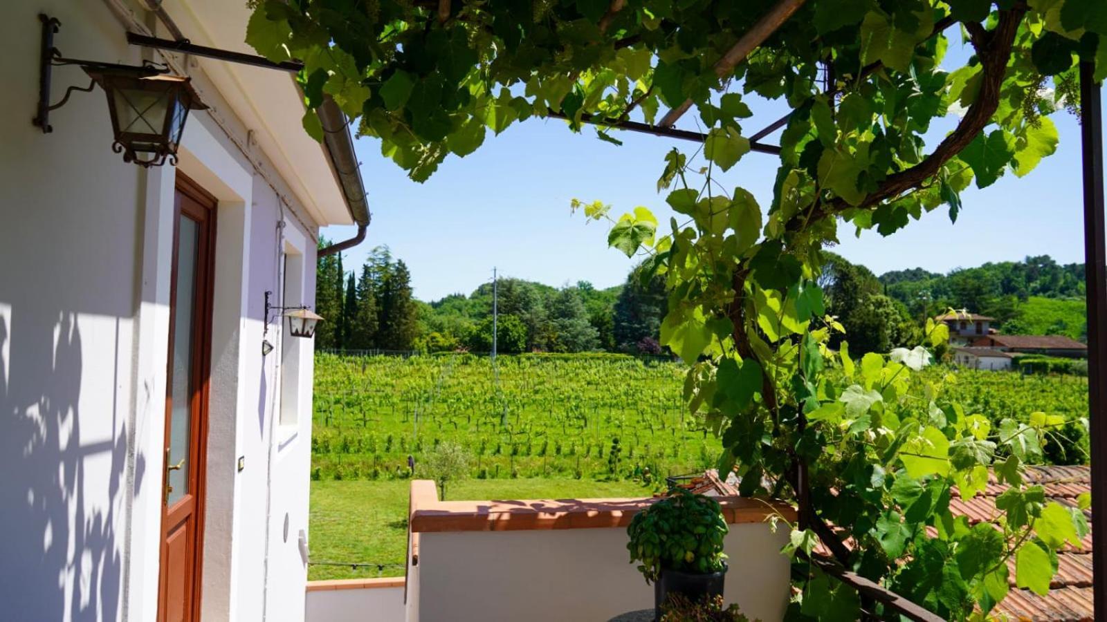 Wine House Panzió Capannori Kültér fotó