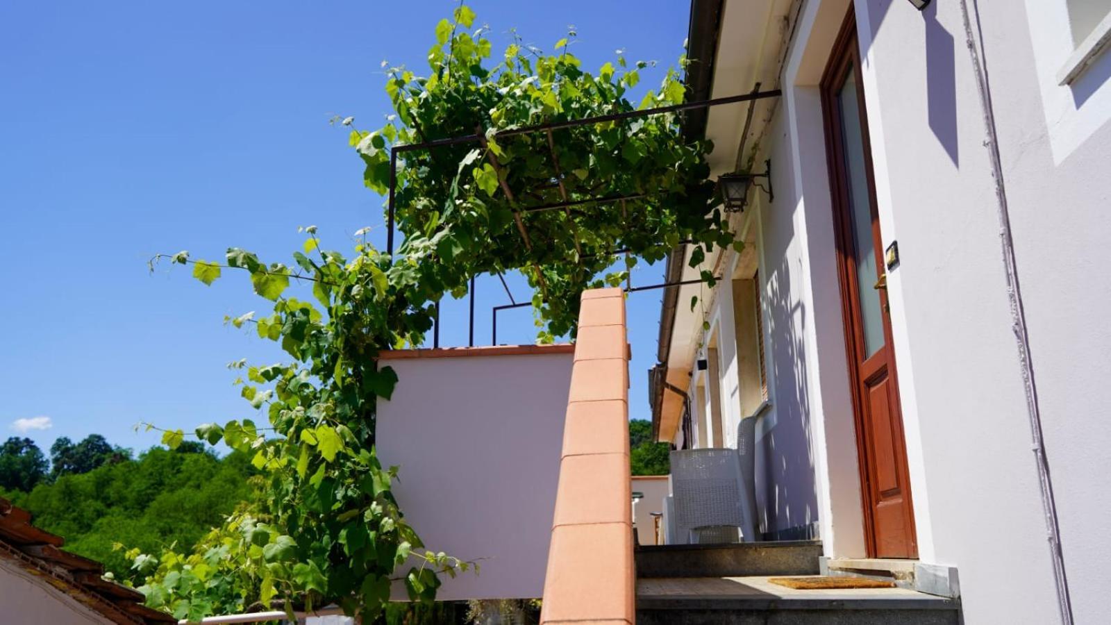 Wine House Panzió Capannori Kültér fotó