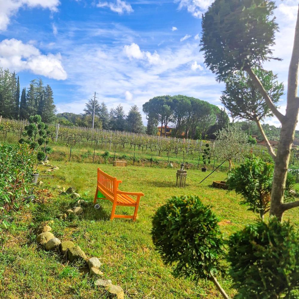 Wine House Panzió Capannori Kültér fotó