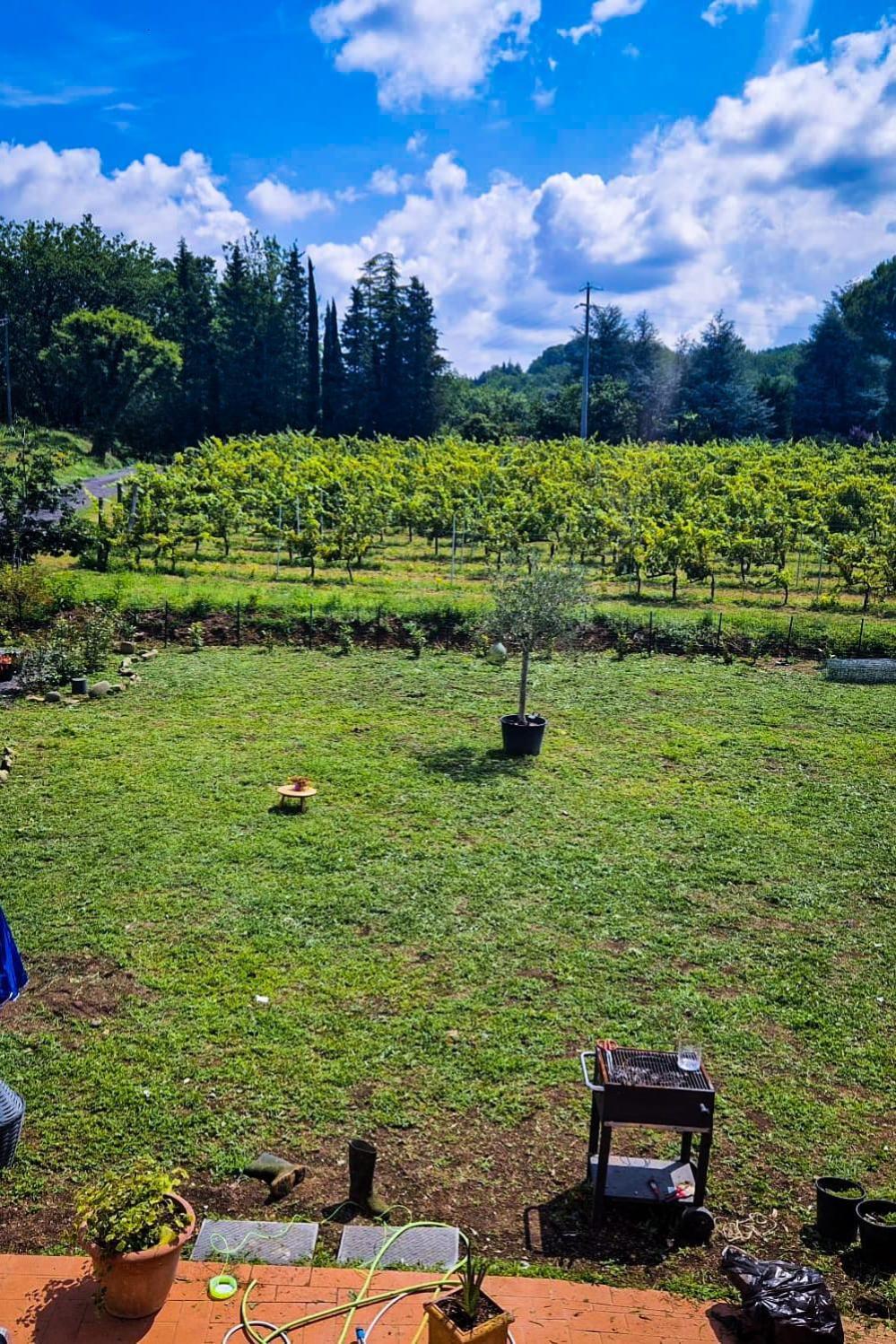Wine House Panzió Capannori Kültér fotó