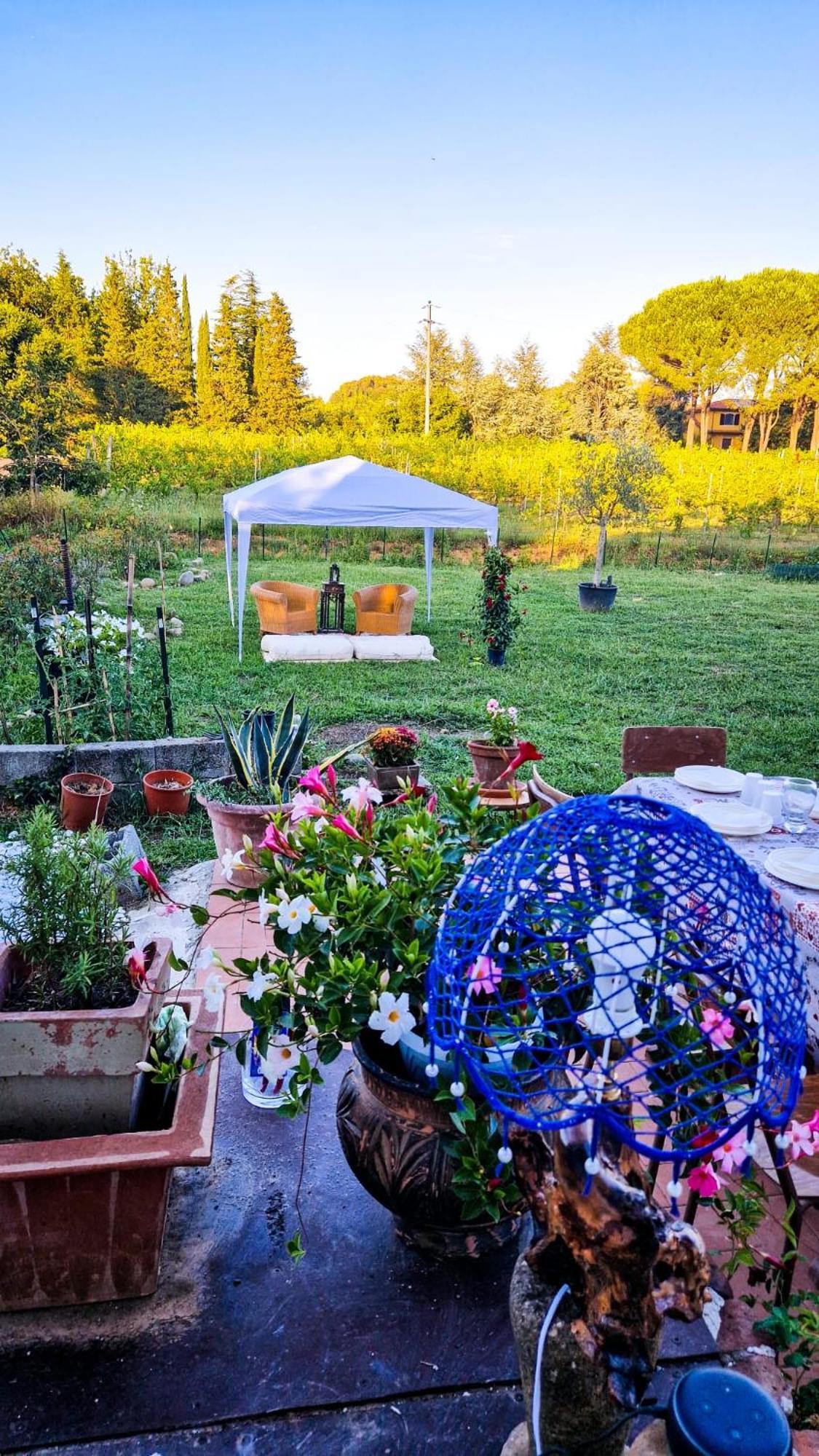 Wine House Panzió Capannori Kültér fotó