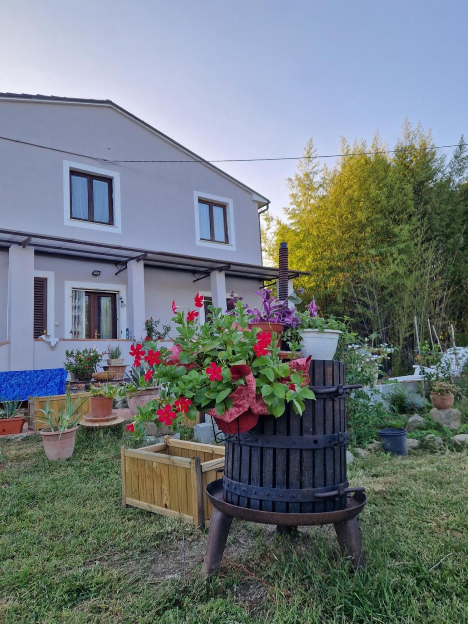 Wine House Panzió Capannori Kültér fotó